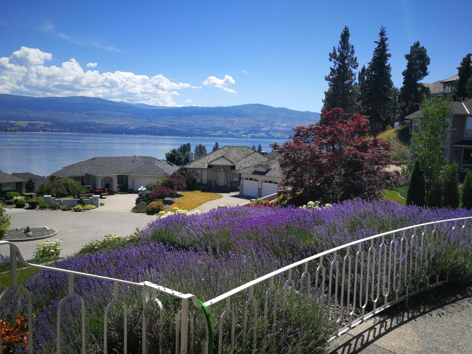 Casa Grande Lakeview House West Kelowna Pokoj fotografie